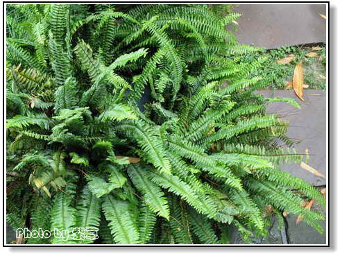 [ԭ��]��ʮ�����㲻�ϣ���������佻�Ϫ��