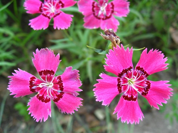 �ຣ��֮��