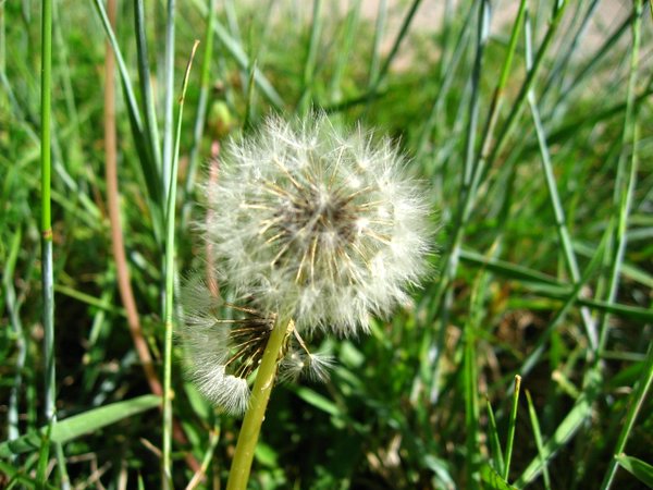 �ຣ��֮��