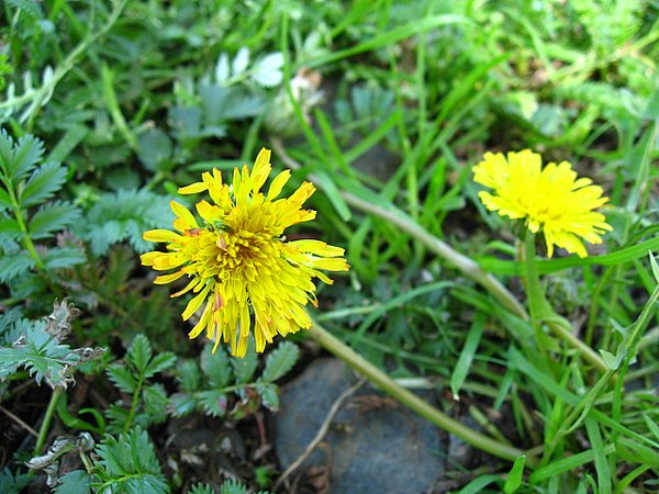 �ຣ��֮��