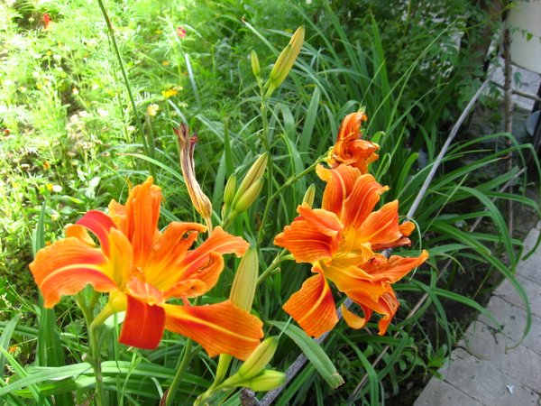 �ຣ��֮��