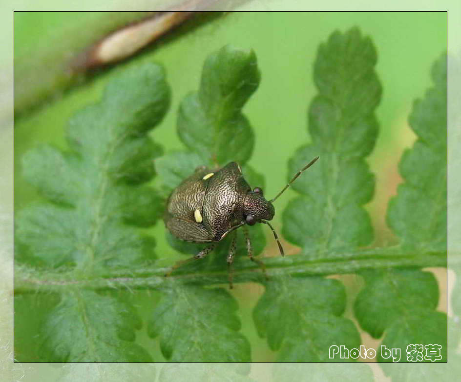 [ԭ��]��ʮ�����㲻�ϣ���������佻�Ϫ��