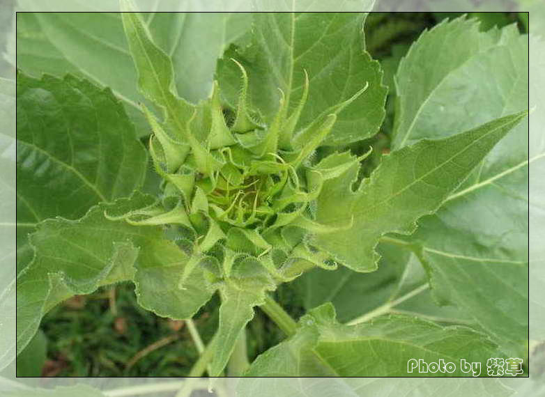 [ԭ��]��ʮ�����㲻�ϣ���������佻�Ϫ��