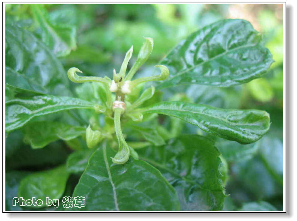 [ԭ��]��ʮ�����㲻�ϣ���������佻�Ϫ��