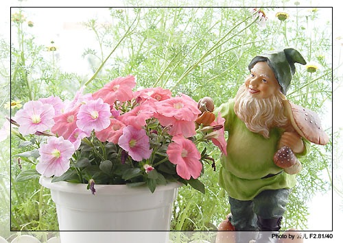 ţ����~~��ţ��(�������ͼ)