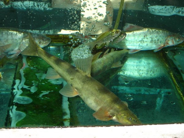 �ຣ��֮��