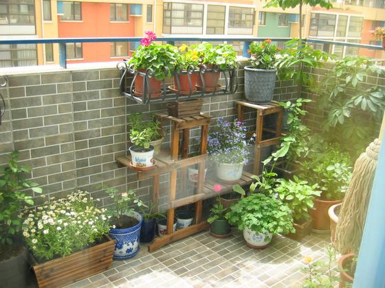 ��ʳ���������û�������(δ�����)