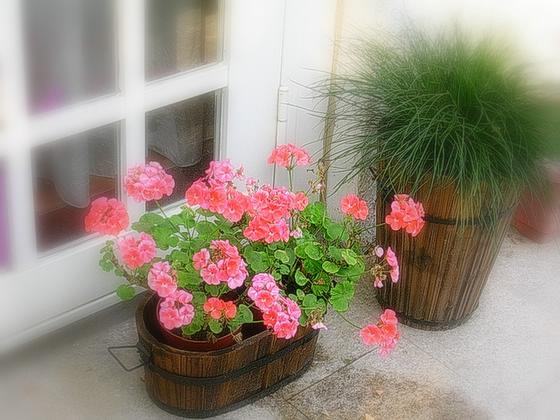 ��ʳ���������û�������(δ�����)