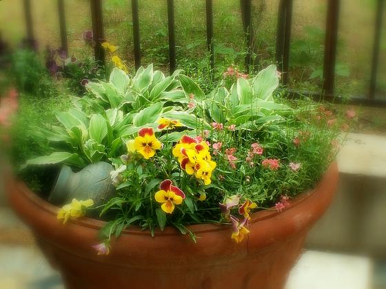 ��ʳ���������û�������(δ�����)