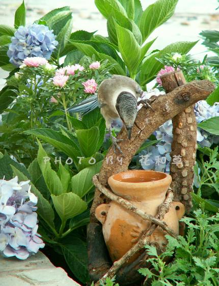 ��ʳ���������û�������(δ�����)