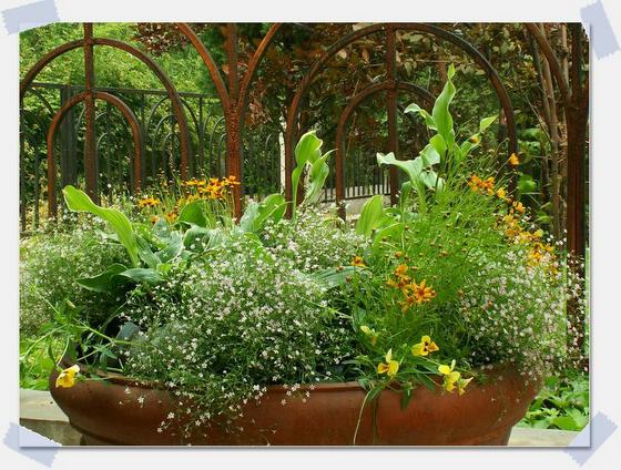 ��ʳ���������û�������(δ�����)