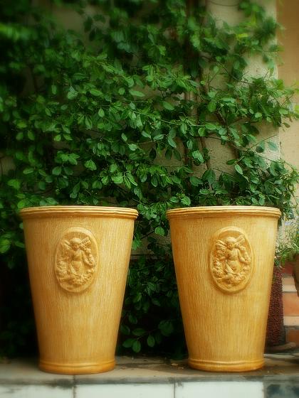 ��ʳ���������û�������(δ�����)