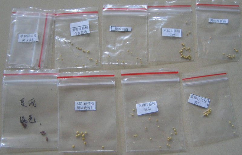 �ﲥ��׼����������......