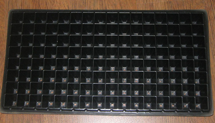 ����ͩ�Ȳ���........