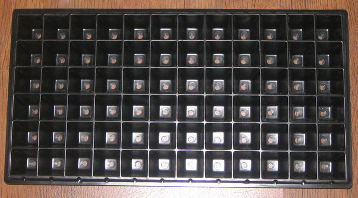 ����ͩ�Ȳ���........