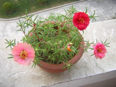 [ԭ��]��Ҳ��̫����..