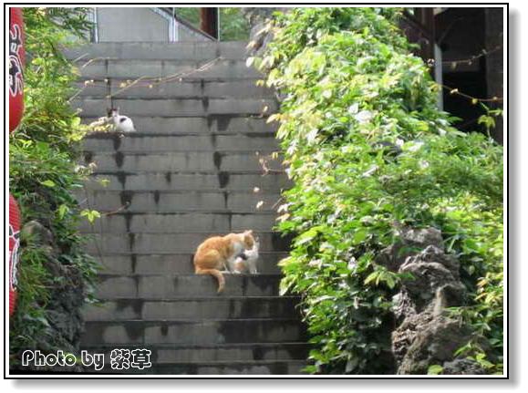 [ԭ��]��ʮ�����㲻�ϣ���������佻�Ϫ��