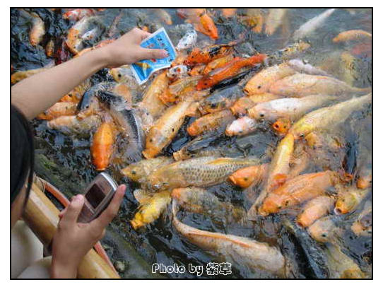 [ԭ��]��ʮ�����㲻�ϣ���������佻�Ϫ��