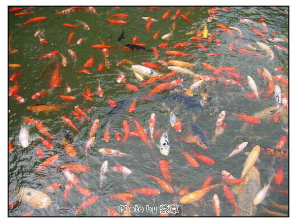 [ԭ��]��ʮ�����㲻�ϣ���������佻�Ϫ��