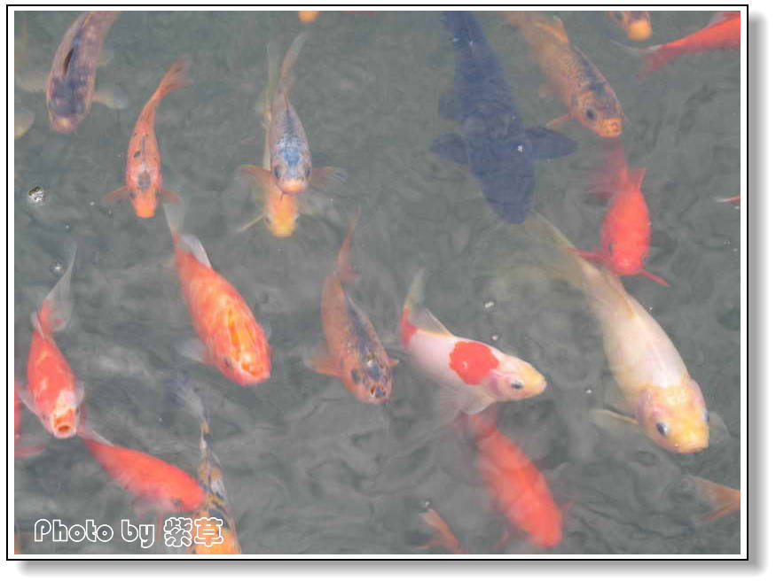 [ԭ��]��ʮ�����㲻�ϣ���������佻�Ϫ��