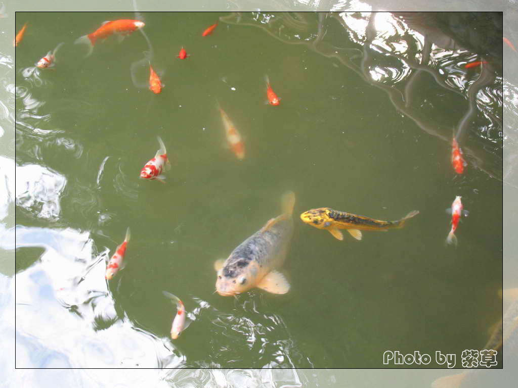 [ԭ��]��ʮ�����㲻�ϣ���������佻�Ϫ��