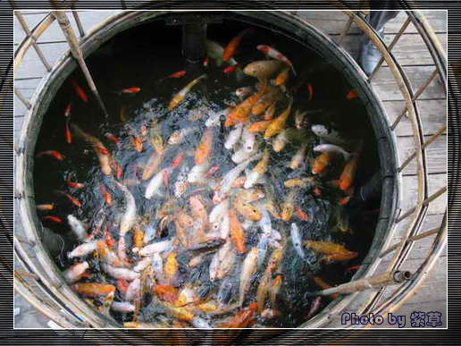 [ԭ��]��ʮ�����㲻�ϣ���������佻�Ϫ��