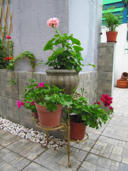 ��ʳ���������û�������(δ�����)