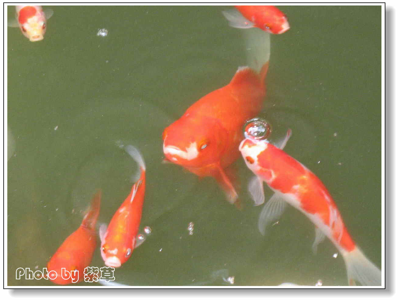 [ԭ��]��ʮ�����㲻�ϣ���������佻�Ϫ��