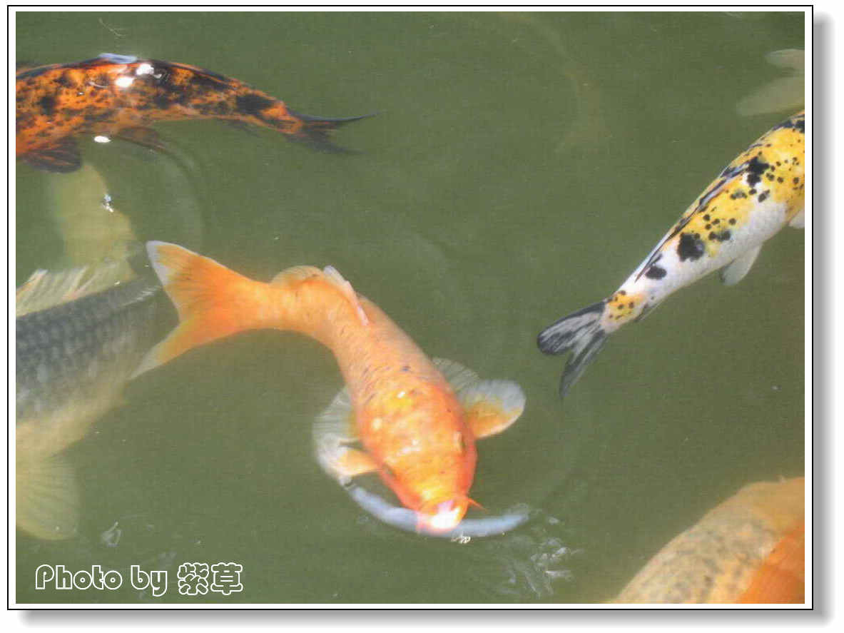 [ԭ��]��ʮ�����㲻�ϣ���������佻�Ϫ��