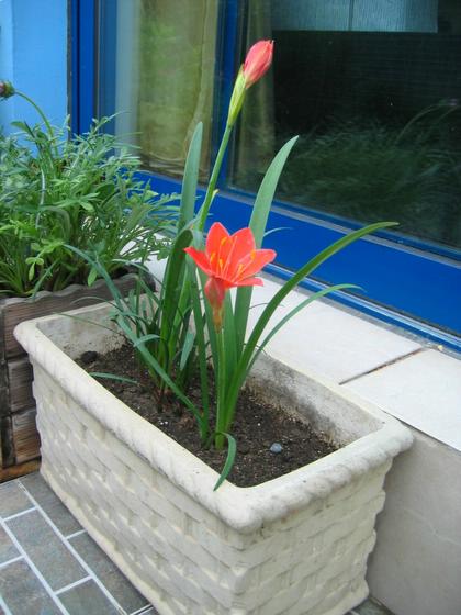 ��ʳ���������û�������(δ�����)