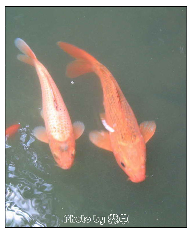 [ԭ��]��ʮ�����㲻�ϣ���������佻�Ϫ��