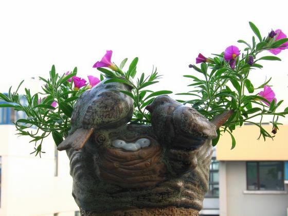 ��ʳ���������û�������(δ�����)