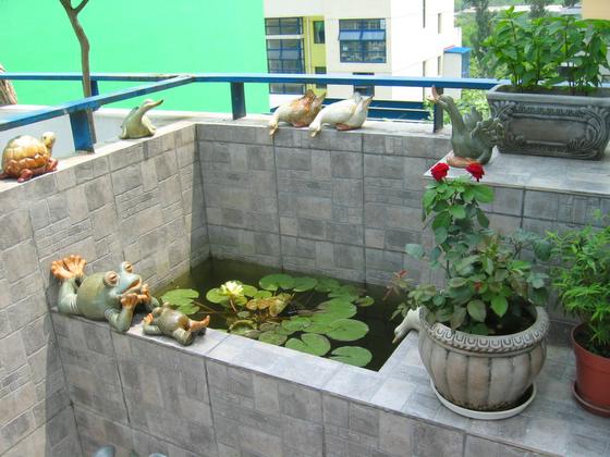 ��ʳ���������û�������(δ�����)