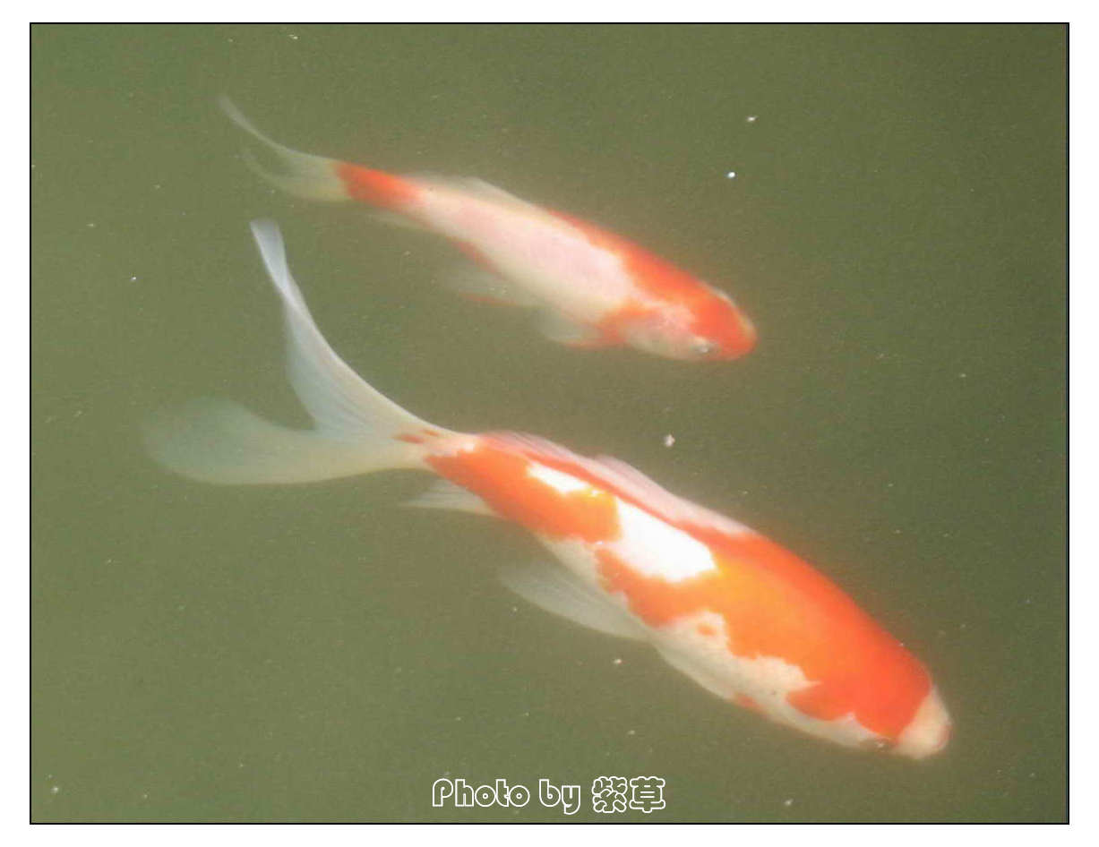 [ԭ��]��ʮ�����㲻�ϣ���������佻�Ϫ��