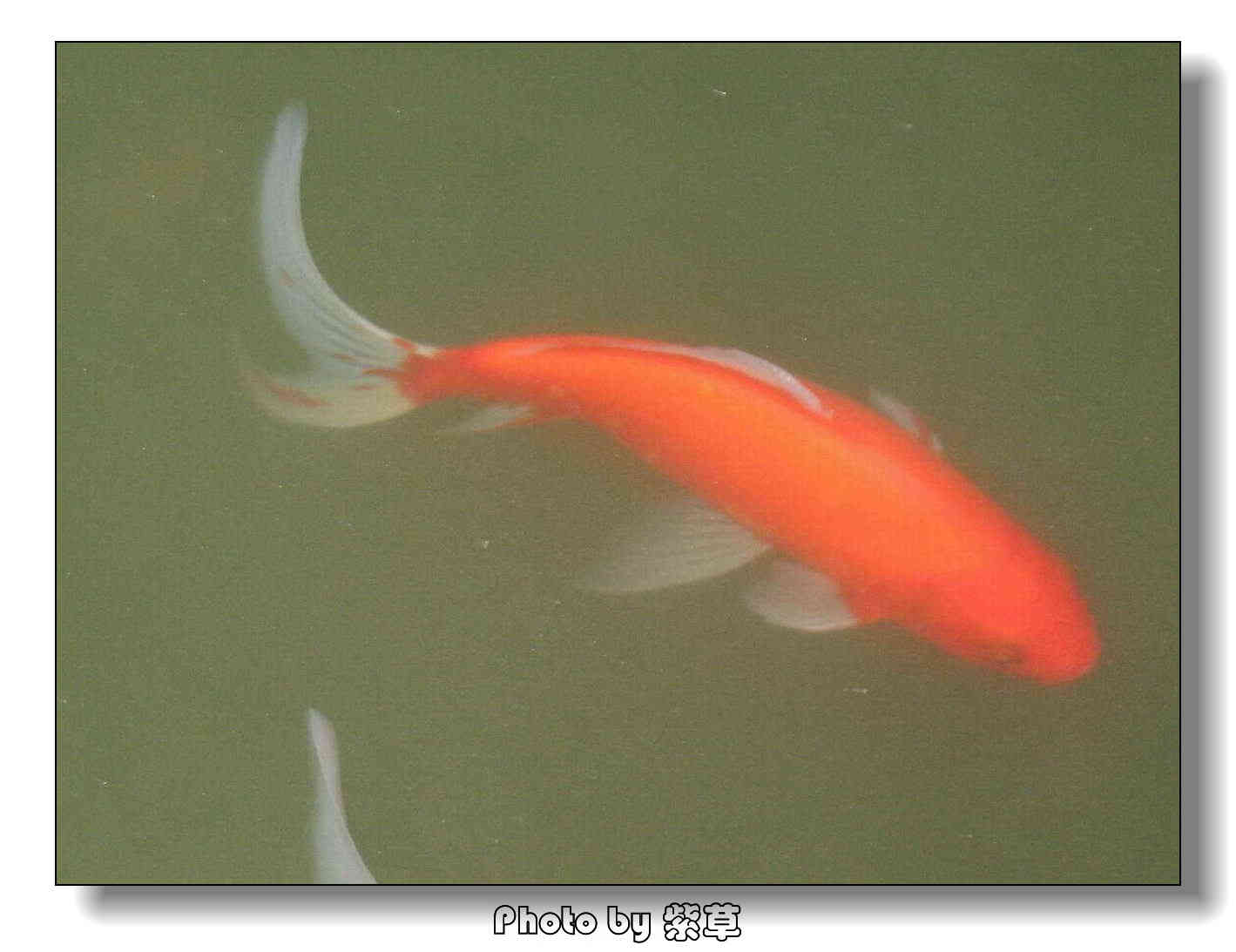 [ԭ��]��ʮ�����㲻�ϣ���������佻�Ϫ��