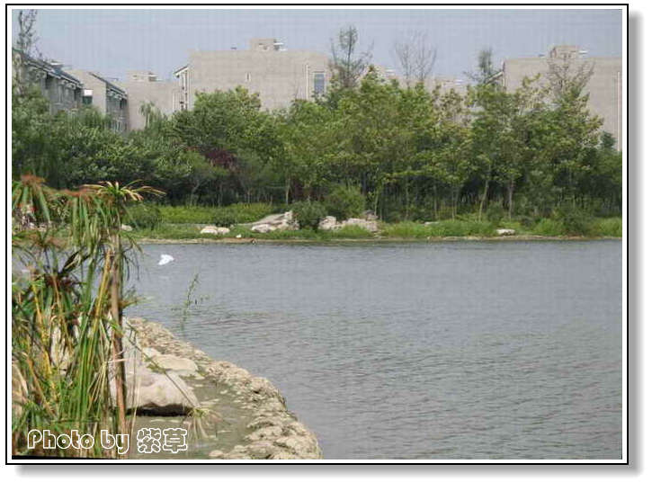 [ԭ��]��ʮ�����㲻�ϣ���������佻�Ϫ��