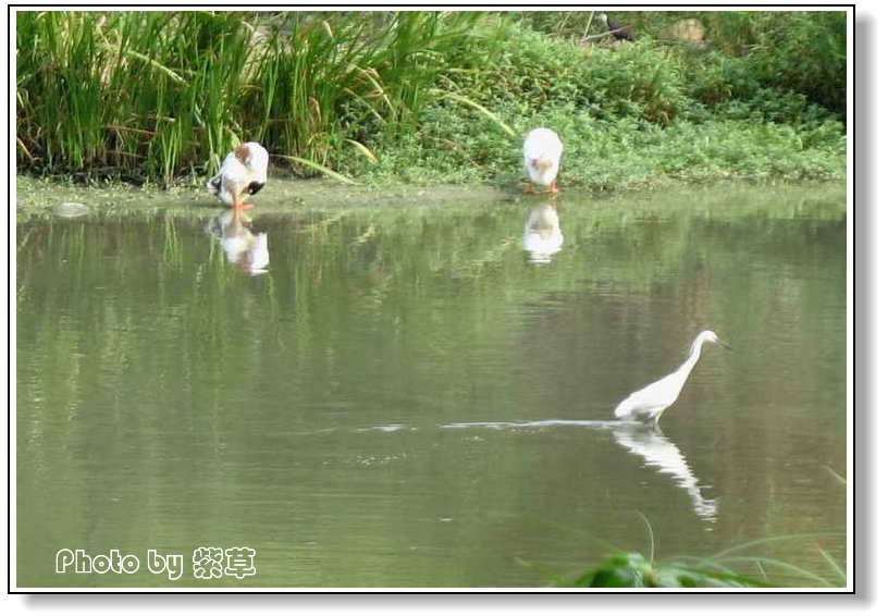 [ԭ��]��ʮ�����㲻�ϣ���������佻�Ϫ��