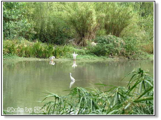 [ԭ��]��ʮ�����㲻�ϣ���������佻�Ϫ��