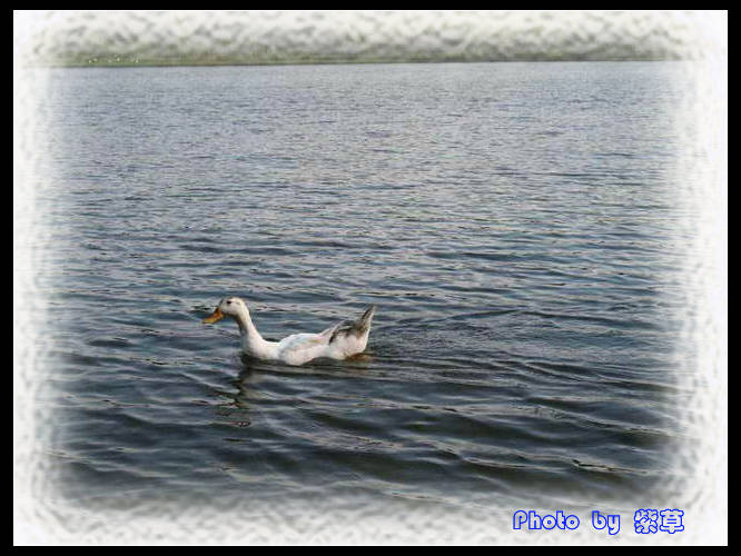 [ԭ��]��ʮ�����㲻�ϣ���������佻�Ϫ��