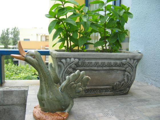 ��ʳ���������û�������(δ�����)