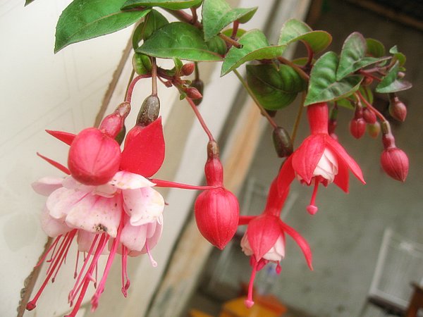 �ຣ��֮��