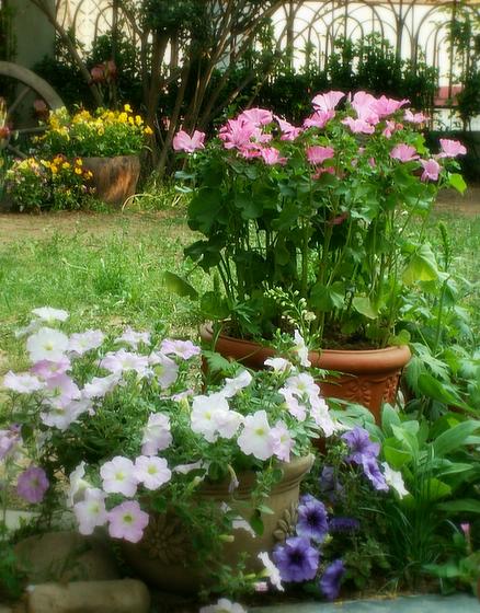 ��ʳ���������û�������(δ�����)