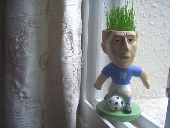 ��ʳ���������û�������(δ�����)