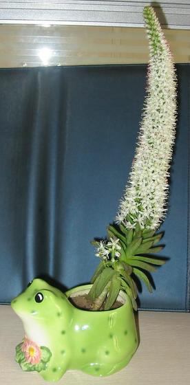 ��ʳ���������û�������(δ�����)