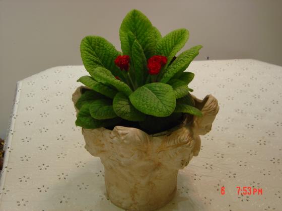 ��ʳ���������û�������(δ�����)