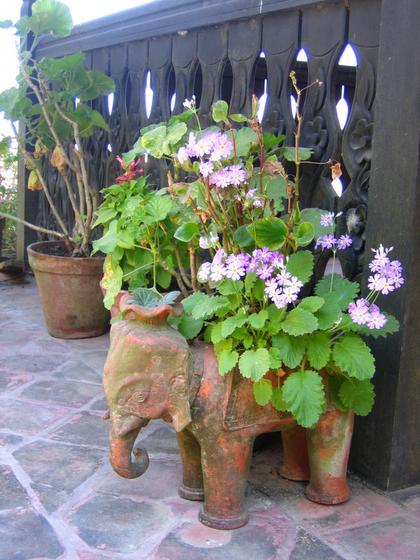 ��ʳ���������û�������(δ�����)