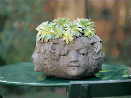 ��ʳ���������û�������(δ�����)