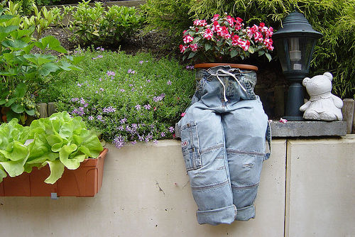 ��ʳ���������û�������(δ�����)