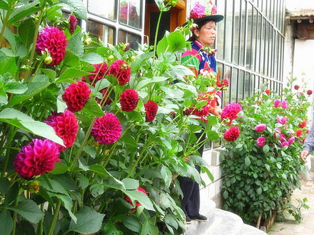 �ຣ��֮��