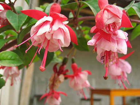 �ຣ��֮��